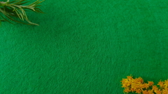 Фетр средней жесткости 2 мм, ширина 1 м, 215,4 гр/м2, зеленый