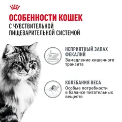 Royal Canin Digestive Care влажный корм для кошек с расстройствами пищеварительной системы 85г