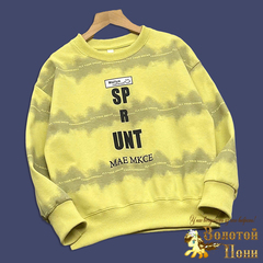 Свитшот трикотаж м (5-10) 251214-DS529