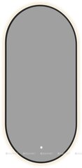 Aquanet 367644 Зеркало Контур овал 500х1000 LED ТХ цв. черный (367644) фото