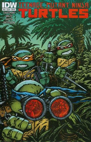 Teenage Mutant Ninja Turtles Vol 5 #43 (Cover B)