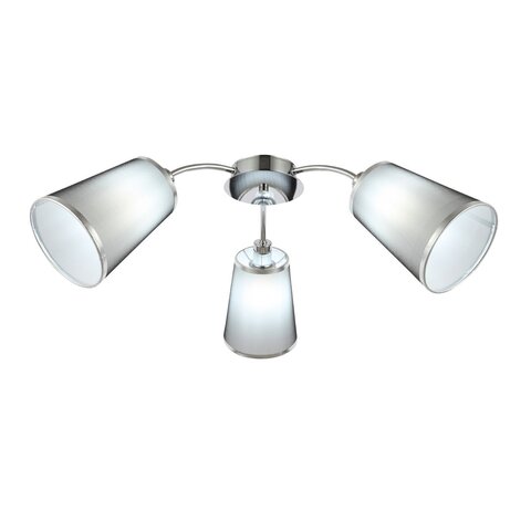 Светильник потолочный Evoluce Maleonte SLE103002-03