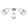 Светильник потолочный Evoluce Maleonte SLE103002-03