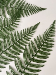 Папоротник, зелень искусственная, 56 см., набор 10 веток.
