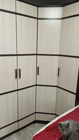 Шкаф угловой Сакура венге / лоредо