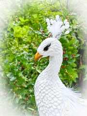 Вайнер 