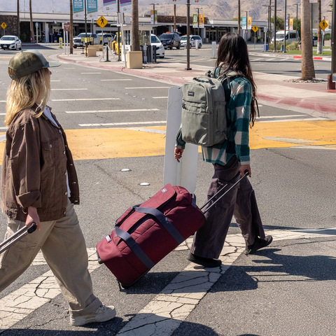 Картинка сумка на колесах Dakine D.101.1967 Black - 4