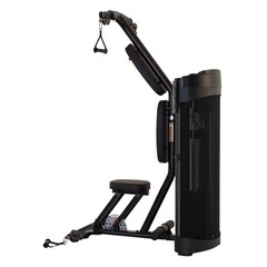 Бицепс/трицепс Inspire DMBT1. Стек 52 кг