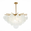 Люстра потолочная ST Luce Vittoria SL1231.302.06