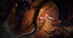 Elden Ring: Nightreign Seekers Edition (диск для PS4, интерфейс и субтитры на русском языке)