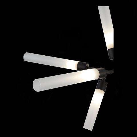 Люстра потолочная ST Luce Splio SL1620.402.12