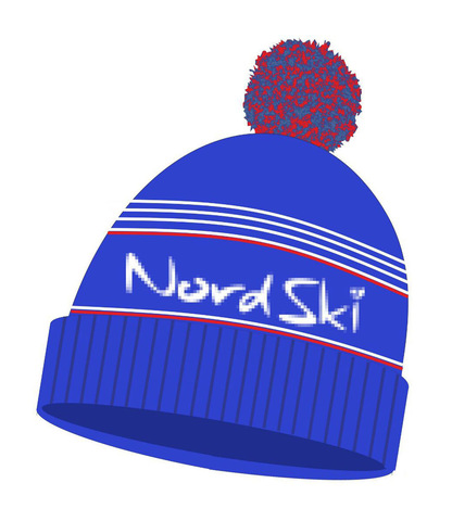 Шапка Nordski Stripe Blue