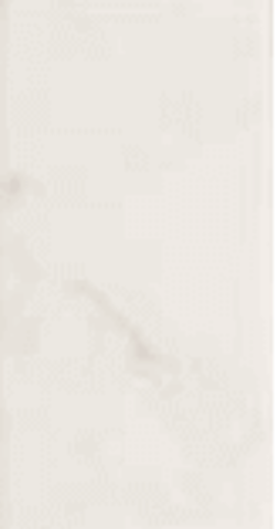 Equipe Carrara Matt 7.5x15