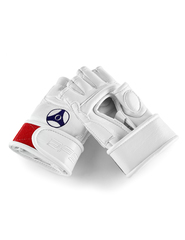 Перчатки BFS - KYOKUSHIN KAN / Pro