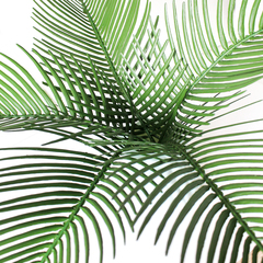 №2 Пальма, искусственная зелень, высококачественный пластик, 47 см, набор 5 шт, цвет насыщенный зеленый