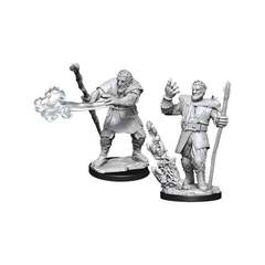D&D Nolzur's Marvelous Miniatures - Male Firbolg Druid