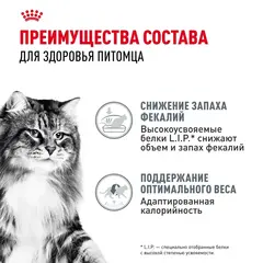 Royal Canin Digestive Care влажный корм для кошек с расстройствами пищеварительной системы 85г