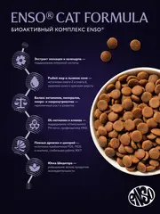 ENSO CF Perfect start сухой корм для котят, беременных и кормящих кошек (ягненок,тыква) 1,5 кг