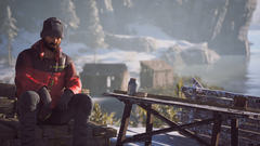 Winter Survival (для ПК, цифровой код доступа)