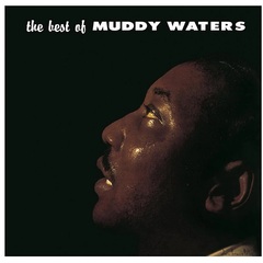 Muddy Waters / The Best Of Muddy Waters (LP)