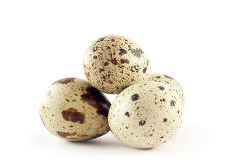 Яйца перепелиные фермерские, 20шт