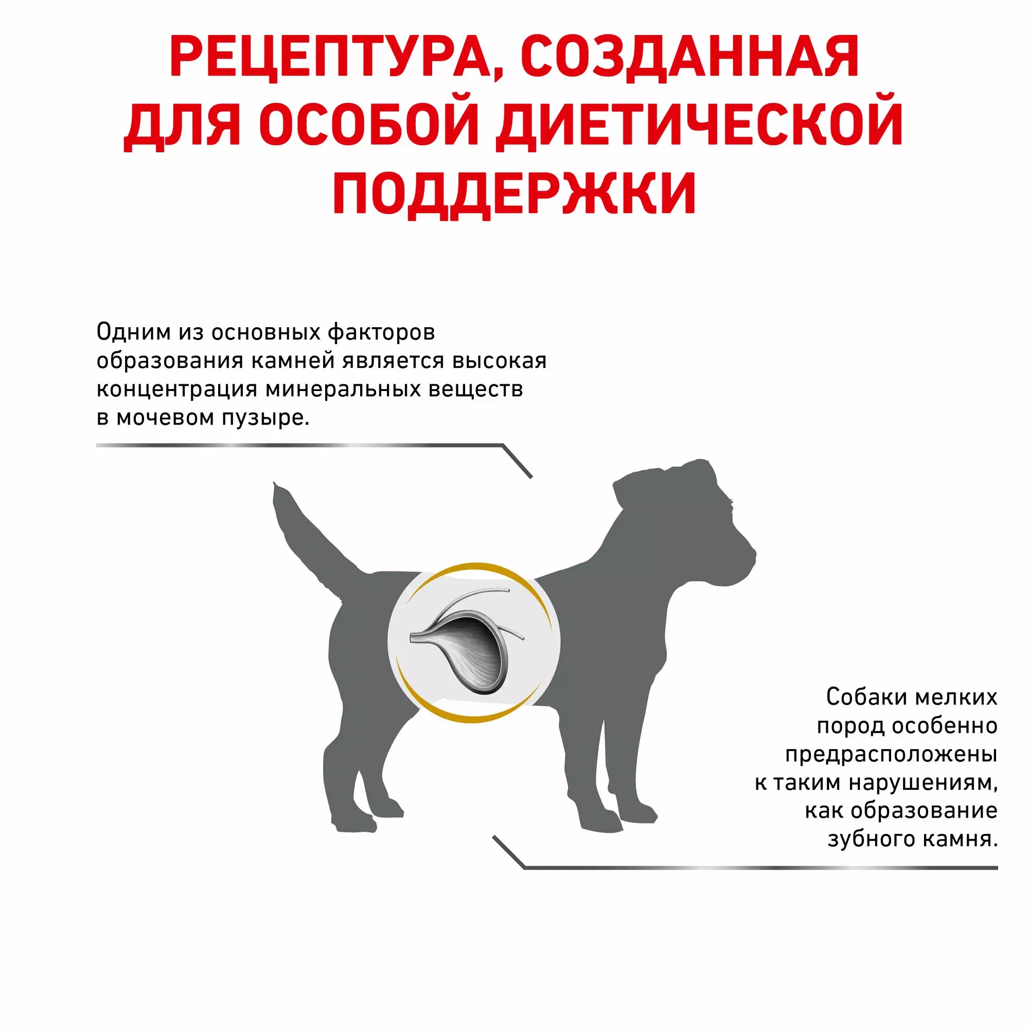 Корм для собак мелких пород, Royal Canin Urinary S/O Small Dog USD 20, при  лечении и профилактике мочекаменной болезни купить с доставкой в  интернет-магазине зоогастроном.ру