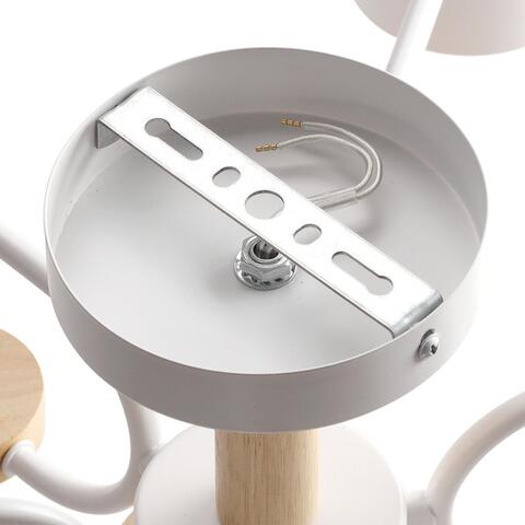 Потолочная люстра Lumion RONDO 8231/6C