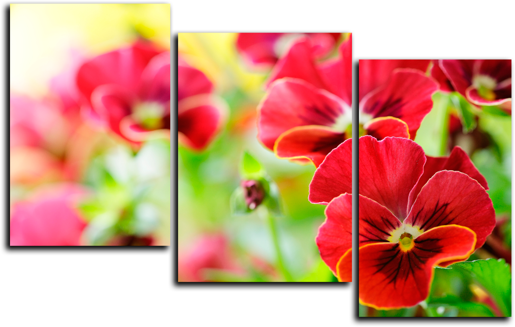Цветы Модульная картина "Цветы анютины глазки " М676.png