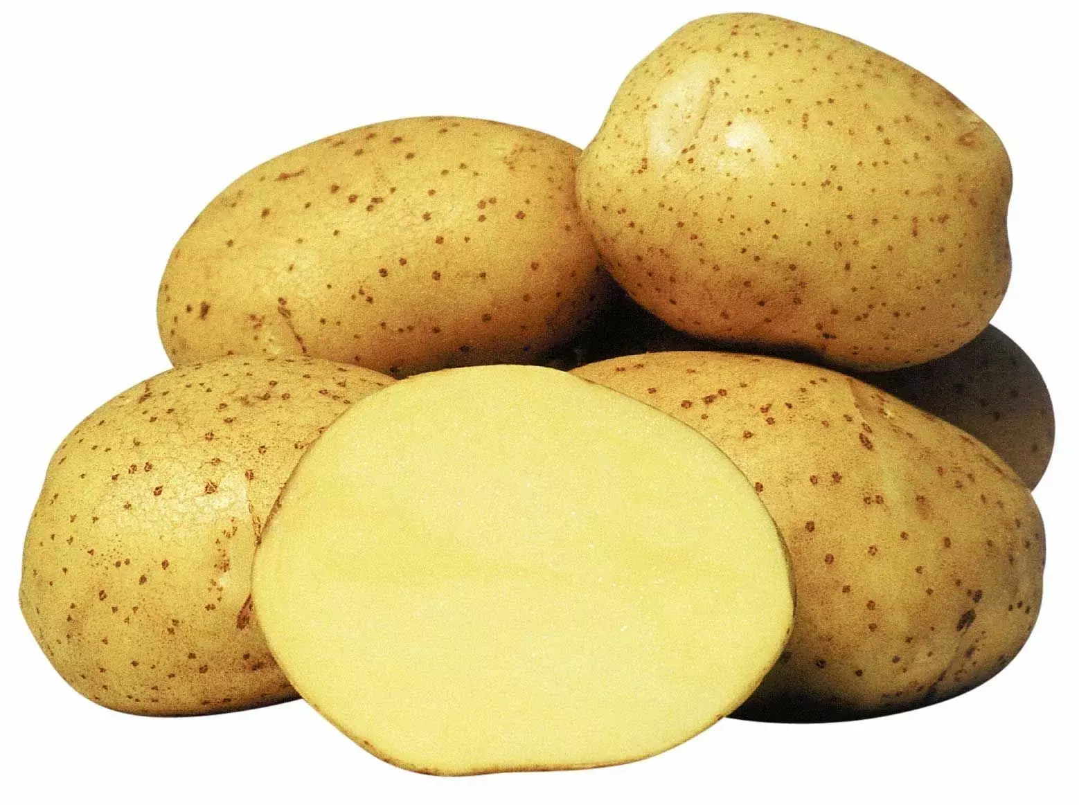 Столовая картошка. Картофель семенной Венета. Картофель семенной Колетте. Картофель Венетта сорт. Картофель сорта Латона семенной.