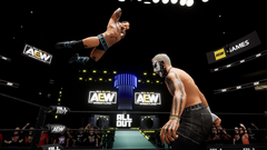 AEW: Fight Forever (для ПК, цифровой код доступа)