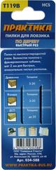 Доставка по России | Пилки для лобзика по дереву, ДСП ПРАКТИКА тип T119B 76х50 мм, грубый рез, HCS (2шт.) (034-588)