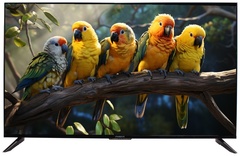 Телевизор Manya 50Q05B 127 см черный