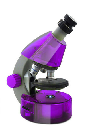 Микроскоп Levenhuk LabZZ M101 Amethyst/Аметист