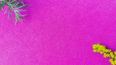 Фетр средней жесткости 2 мм, ш. 1 м, 215,4 гр/м2, фуксия