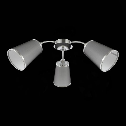 Светильник потолочный Evoluce Maleonte SLE103002-03