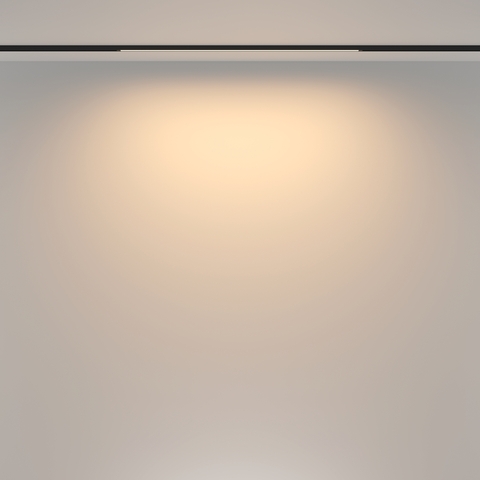 Трековый светильник Maytoni Basis TR173-1-16WTW-B
