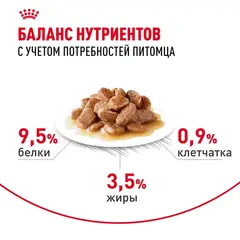 Royal Canin Digestive Care влажный корм для кошек с расстройствами пищеварительной системы 85г