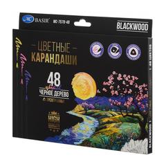 
          Карандаши цветные, Basir, деревянные, чёрный корпус, цветная упаковка, 48 шт