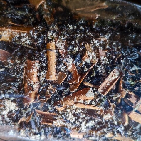 Чай масала Индийский имбирный 50 гр | Травники Сибири