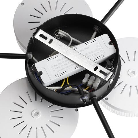 Потолочная светодиодная люстра Lumion DIDANA 8236/6CL