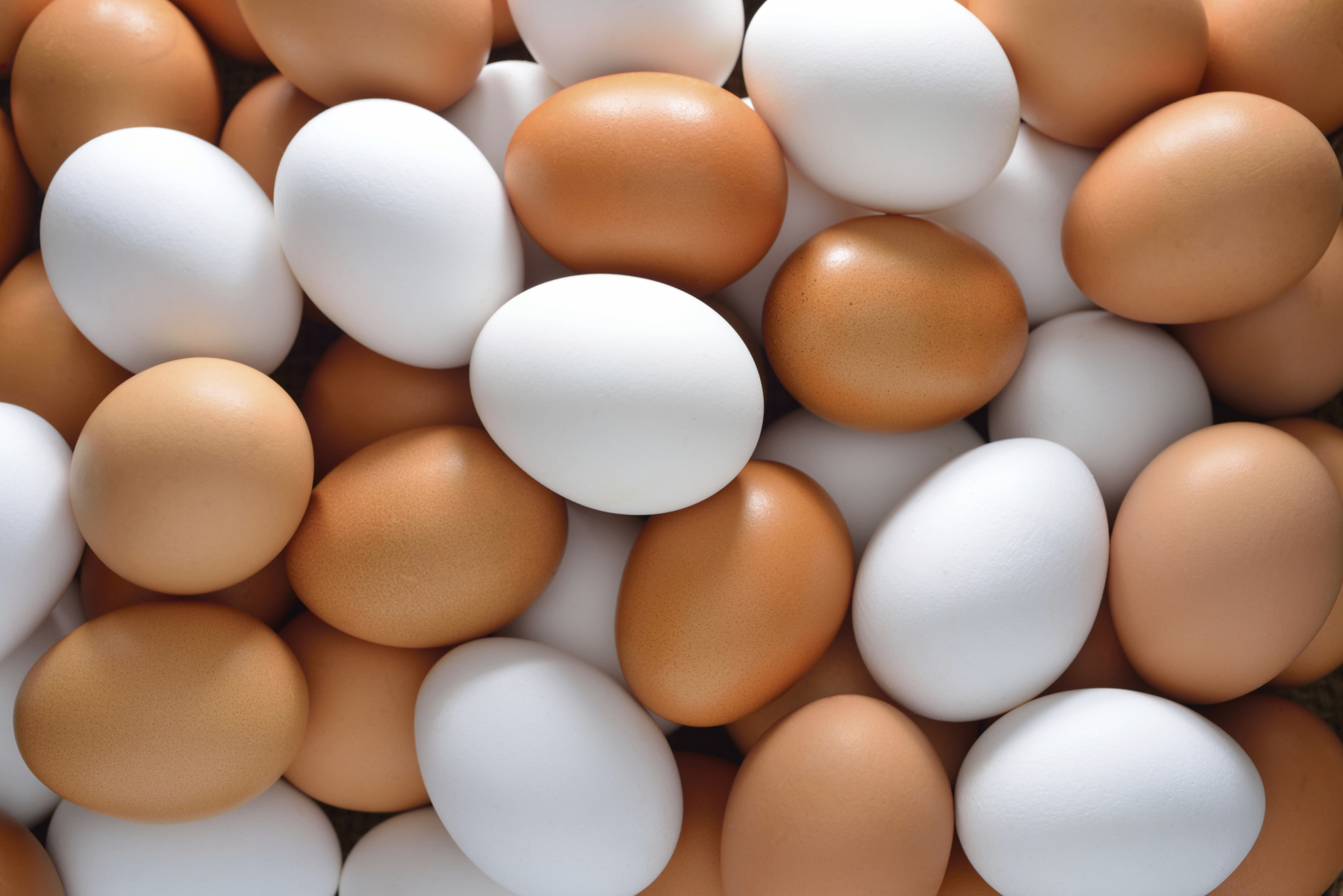 Какие бывают яйца, как и сколько их варить и прочие советы и хитрости