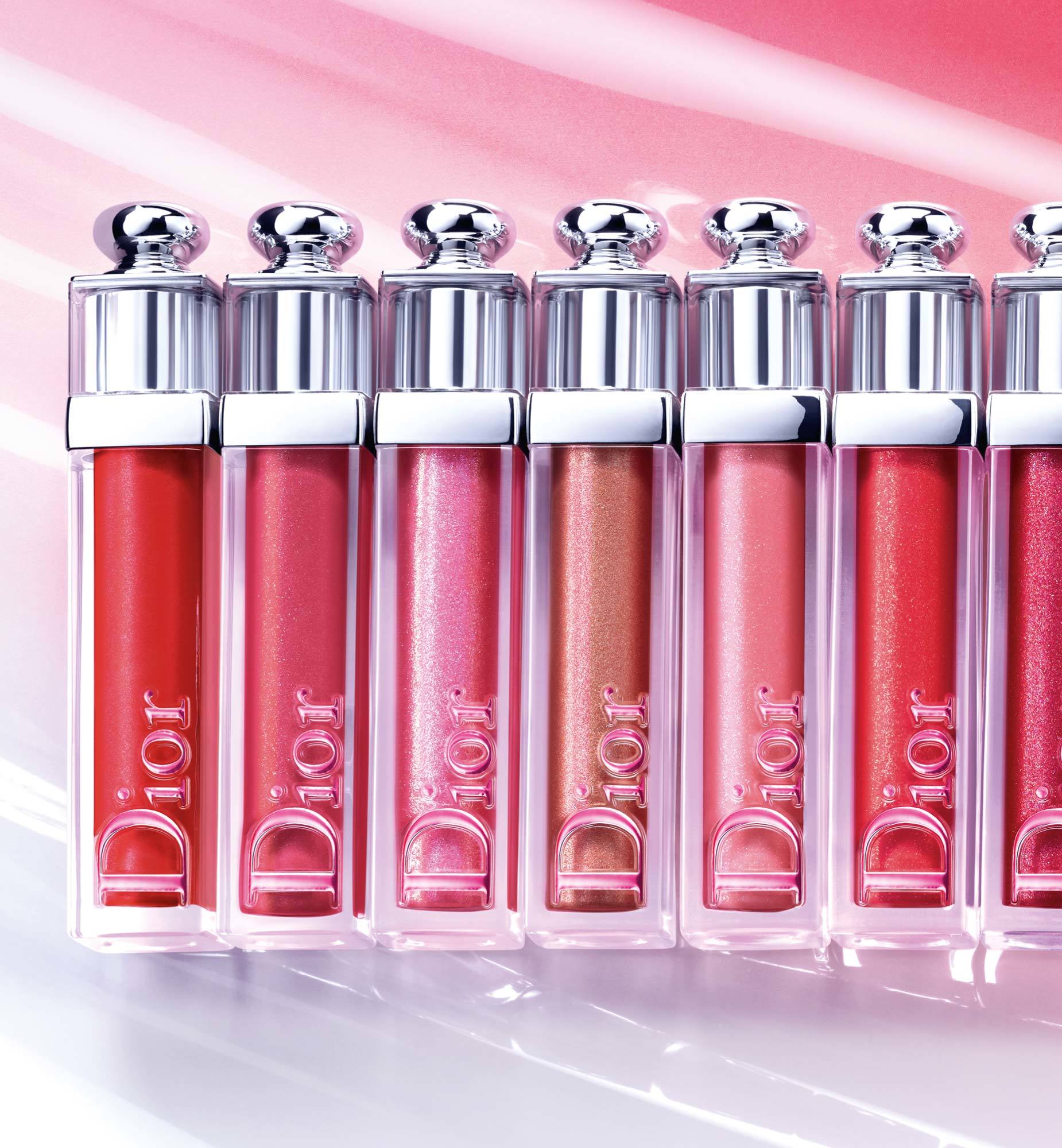 diy dior lipstick bag