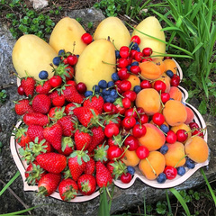 Корзина свежих фруктов и ягод «SEASON» / 4,5 кг