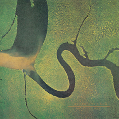 Dead Can Dance / The Serpent's Egg (LP)