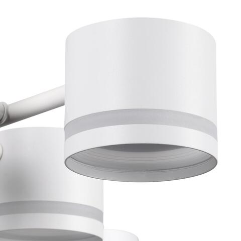 Потолочная люстра Lumion GARETA 8235/12C