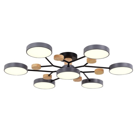 Светильник потолочный Evoluce Faema SLE6006-702-07