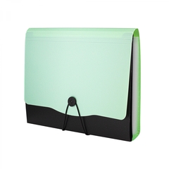 
          Папка-картотека Alingar, A4, 330х250 мм, на пуговице, пластик, 600 мкм, 13 отделений, папка-планшет, мятный клапан