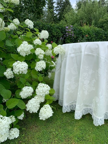 Скатерть 220 и 12 салфеток Palombella Svezia Pizzo-1 сливочные