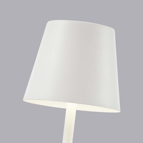 Настольная светодиодная лампа F-Promo Pyari 4614-1T