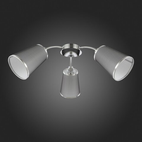Светильник потолочный Evoluce Maleonte SLE103002-03